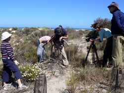 Filming Sand in my Veins